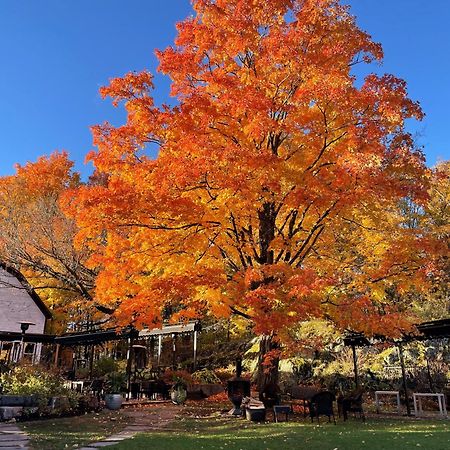 Domaine Jolivent Hotel Lac-Brome Luaran gambar