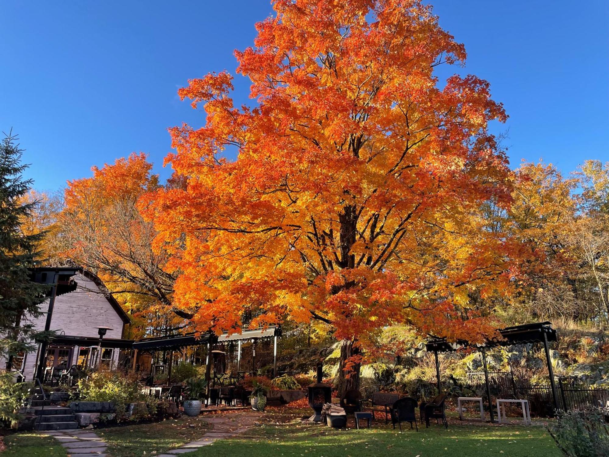 Domaine Jolivent Hotel Lac-Brome Luaran gambar